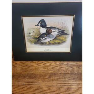 1 Place Mat Lady Clare Golden Eye John Gould England  Green Felt Back